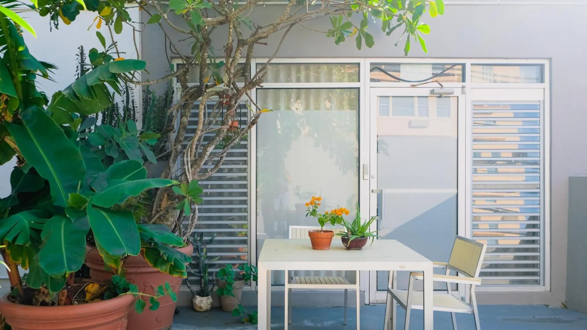 Caribe Rentals - Miramar San Juan Appartement