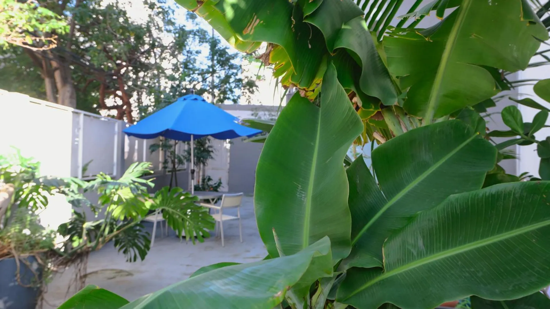 Appartement Caribe Rentals - Miramar San Juan Puerto Rico