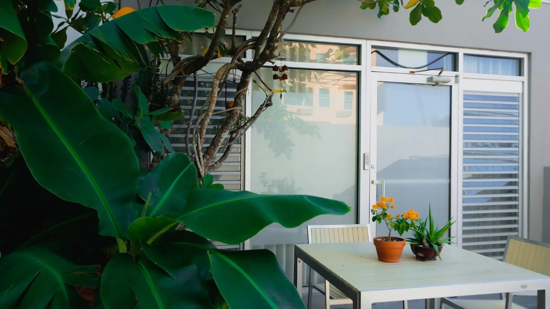 Caribe Rentals - Miramar San Juan