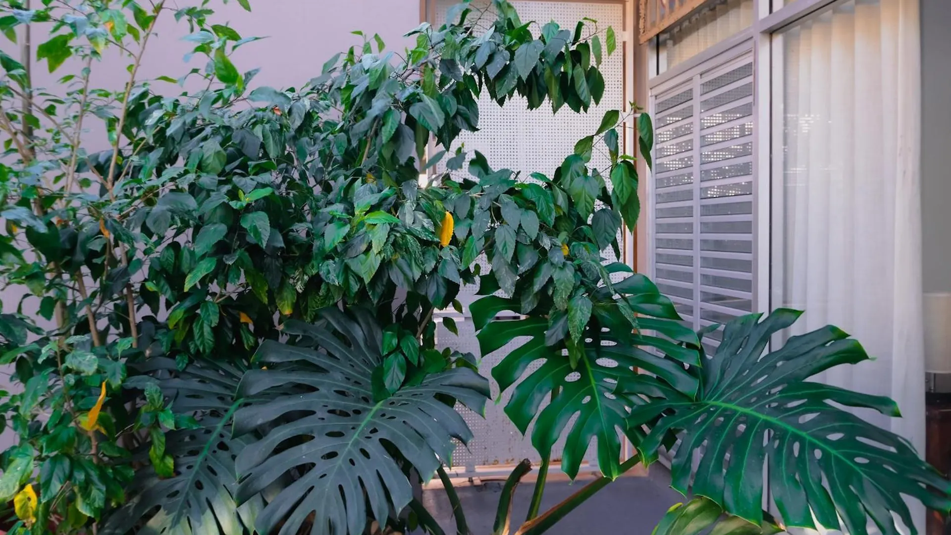 Appartement Caribe Rentals - Miramar San Juan Puerto Rico